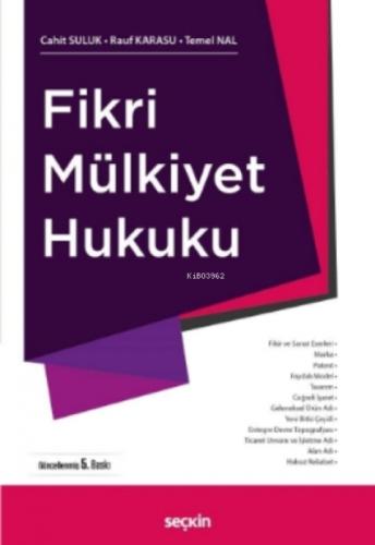 Fikri Mülkiyet Hukuku  Frontansicht 1