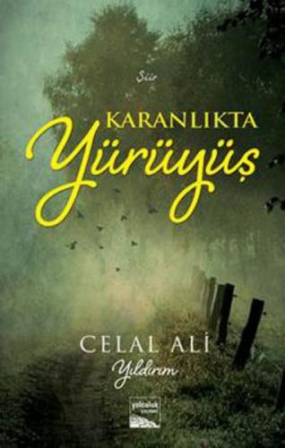 Karanlıkta Yürüyüş  Frontansicht 1