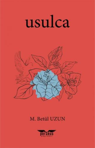 Usulca  Frontansicht 1