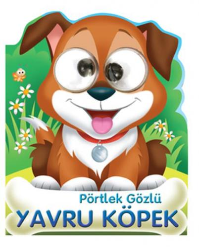 Pörtlek Gözlü Yavru Köpek  Frontansicht 1
