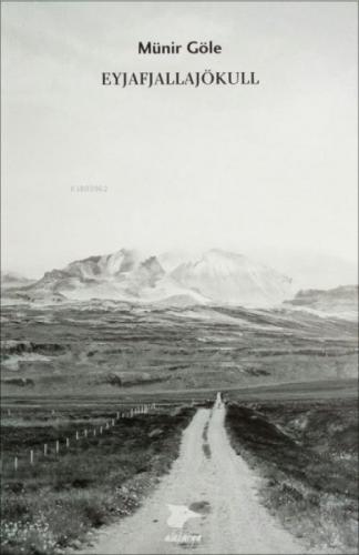 Eyjafjallajökull  Frontansicht 1