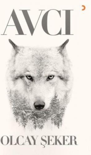 Avcı  Frontansicht 1