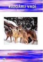 Rüzgarlı  Vadi  Frontansicht 1