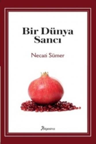 Bir Dünya Sancı  Frontansicht 1