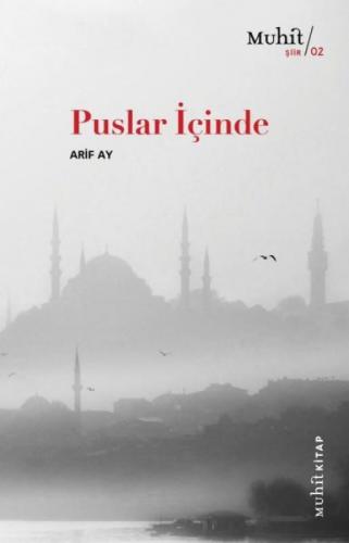 Puslar İçinde  Frontansicht 1