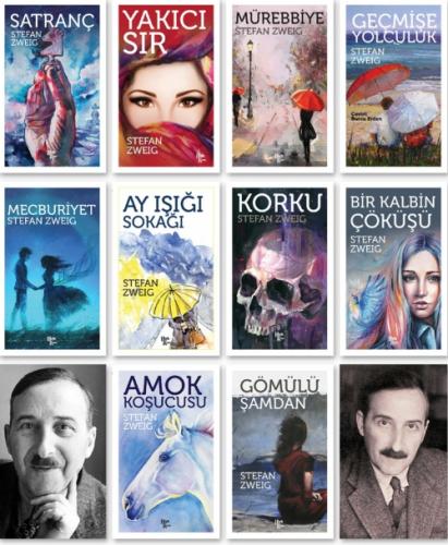 Stefan Zweig (12 Kitap Takım)  Frontansicht 1