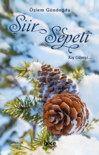 Þiir Sepeti - Kıþ Güneþi  Frontansicht 1