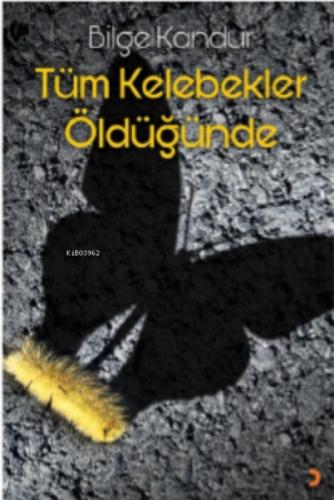 Tüm Kelebekler Öldüğünde  Frontansicht 1