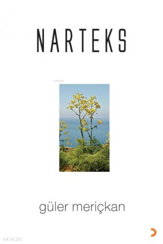 Narteks  Frontansicht 1