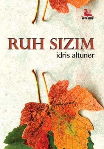 Ruh Sızım  Frontansicht 1
