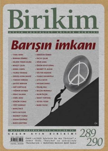 Birikim Sayı: 289 - 290  Frontansicht 1