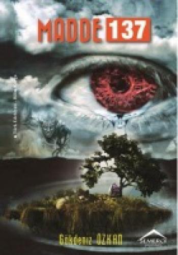 Madde 137  Frontansicht 1