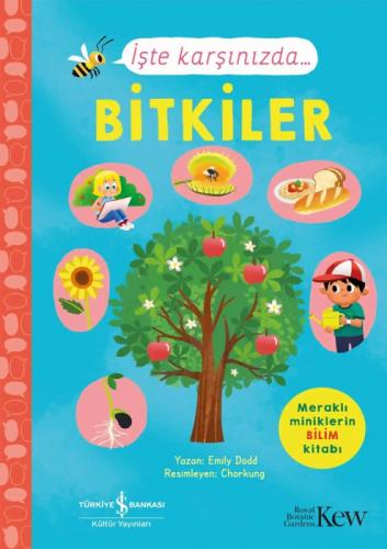 İşte Karşınızda... Bitkiler  Frontansicht 1