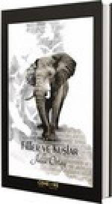 Filler ve Kuşlar  Frontansicht 1