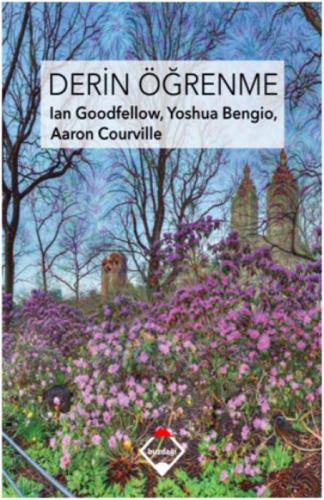 Derin Öğrenme  Frontansicht 1