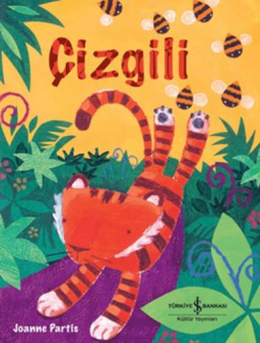 Çizgili  Frontansicht 1