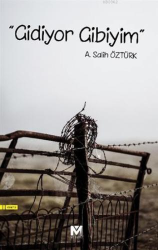 "Gidiyor Gibiyim"  Frontansicht 1