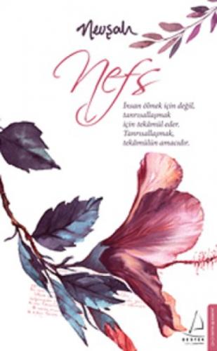 Nefs  Frontansicht 1