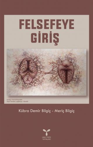 Felsefeye Giriş  Frontansicht 1