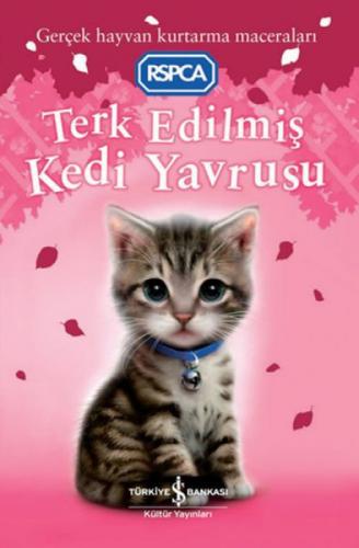 Terk Edilmiş Kedi Yavrusu  Frontansicht 1