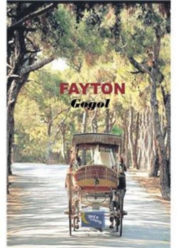 Fayton  Frontansicht 1