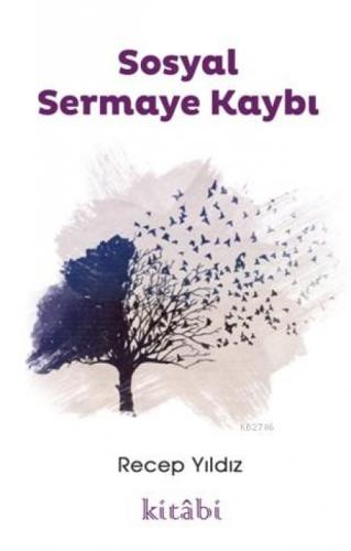 Sosyal Sermaye Kaybı  Frontansicht 1