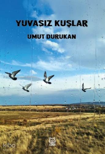 Yuvasız Kuşlar  Frontansicht 1