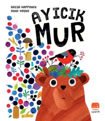 Ayıcık Mur  Frontansicht 1