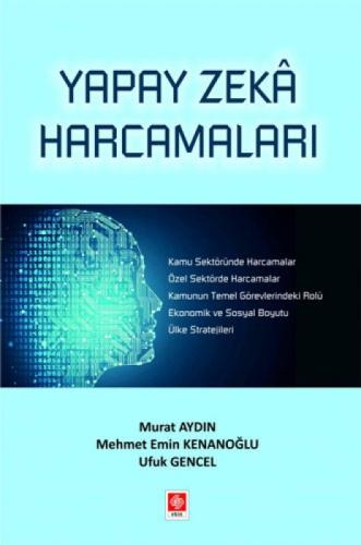 Yapay Zeka Harcamaları  Frontansicht 1
