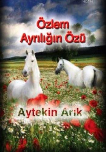Özlem Ayrılığın Özü  Frontansicht 1