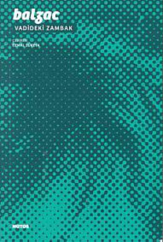 Vadideki Zambak  Frontansicht 1