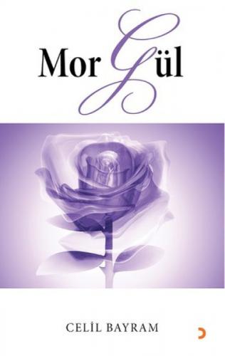 Mor Gül  Frontansicht 1