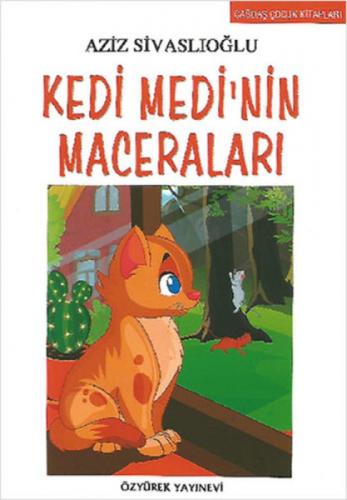 Kedi Medi'nin Maceraları  Frontansicht 1