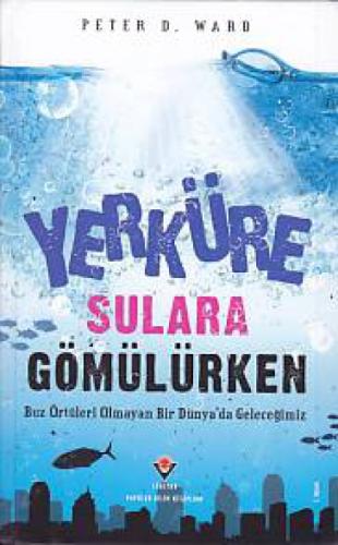 Yerküre Sulara Gömülürken  Frontansicht 1
