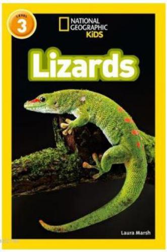Lizards (Readers 3)  Frontansicht 1