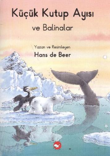 Küçük Kutup Ayısı  Frontansicht 1