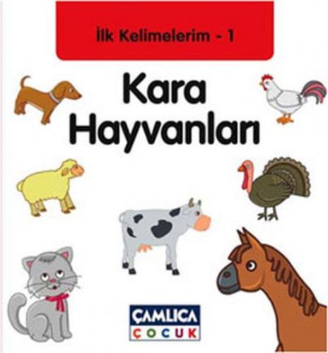 Kara Hayvanları  Frontansicht 1