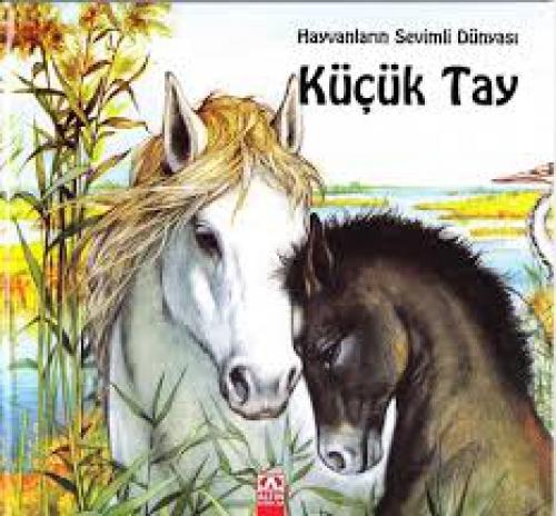 Küçük Tay  Frontansicht 1