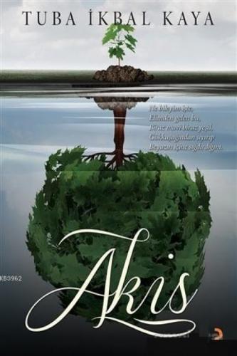 Akis  Frontansicht 1