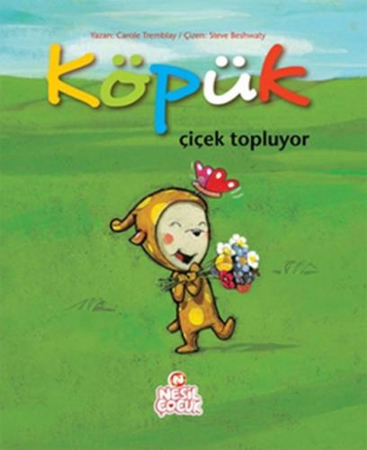Köpük Çiçek Topluyor  Frontansicht 1