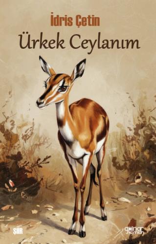 Ürkek Ceylanım  Frontansicht 1