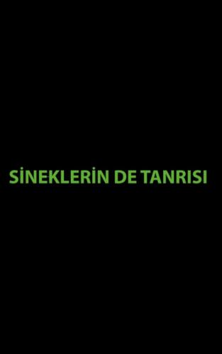 Sineklerin de Tanrısı  Frontansicht 1