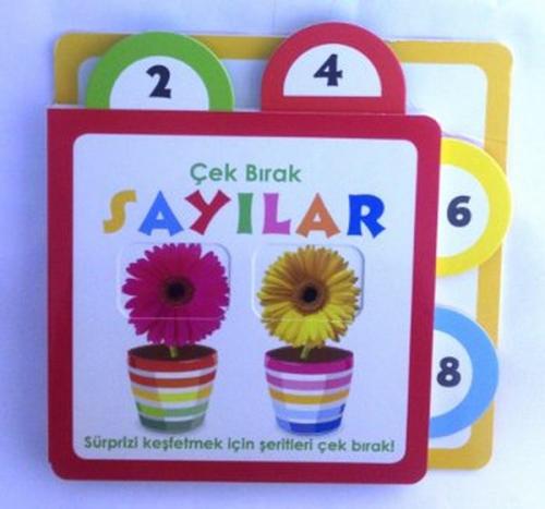 Çek Bırak Sayılar  Frontansicht 1