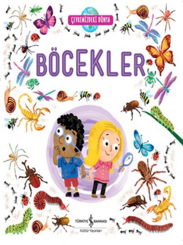 Çevremizdeki Dünya Böcekler  Frontansicht 1