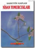 Nisan Tomurcukları  Frontansicht 1