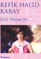 Dişi Örümcek  Frontansicht 1