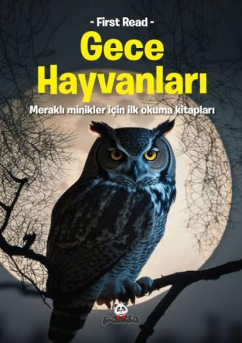 Gece Hayvanları  Frontansicht 1