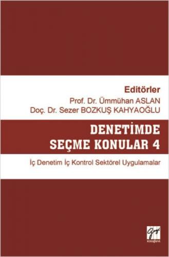 Denetimde Seçme Konular 4 İç Denetim İç Kontrol Sektörel Uygulamalar  Frontansicht 1