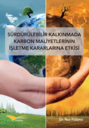 Sürdürülebilir Kalkınmada Karbon Maliyetlerinin İþletme Kararlarına Etkisi  Frontansicht 1