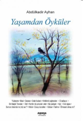 Yaşamdan Öyküler  Frontansicht 1